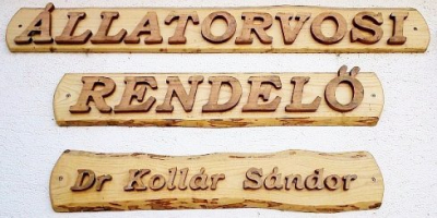 Dr. Kollár Sándor Állatorvos Komárom Esztergom megye
