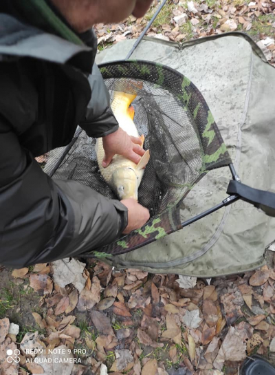 Toma Tó Horgászparadicsom Kocsér Pest megye